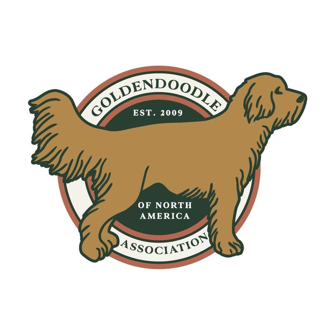 Goldendoodle pedigree sales